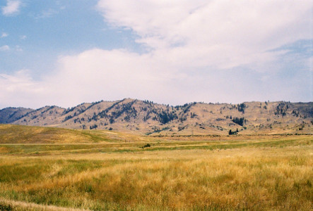 [Large wheat and green colored grass fields lead to the base of small dirt mountains with lines of evergreens growing on them from top to bottom (possible the snow-melt areas keep them watered). Quite a bit of white cloud cover in the blue sky.]